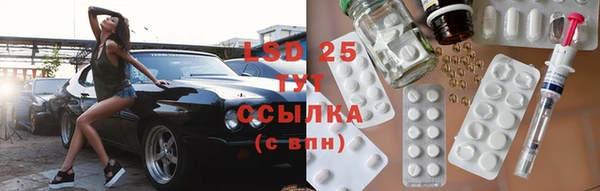 ПСИЛОЦИБИНОВЫЕ ГРИБЫ Алексеевка