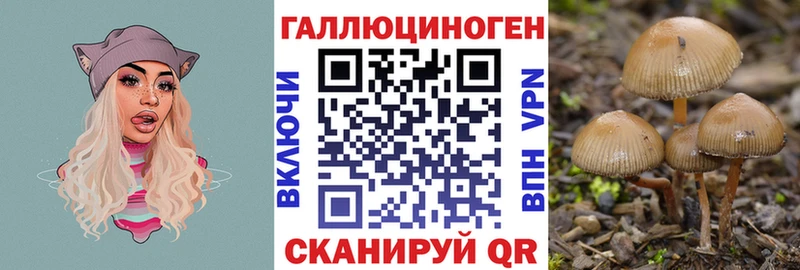 купить закладку  Данилов  Псилоцибиновые грибы прущие грибы 